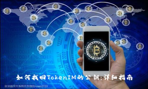 如何找回TokenIM的公钥：详细指南