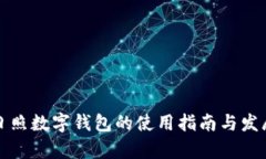 山东日照数字钱包的使用指南与发展前景