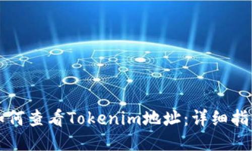 如何查看Tokenim地址：详细指南