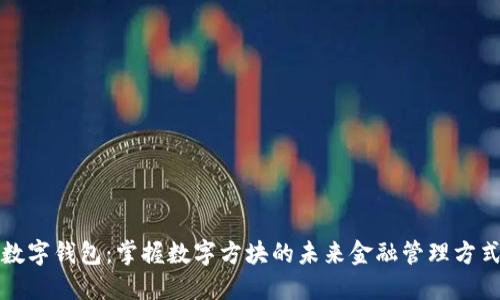 数字钱包：掌握数字方块的未来金融管理方式