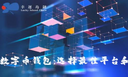 如何下载数字币钱包：选择最佳平台和步骤指南