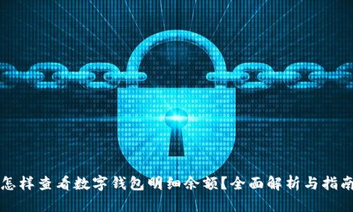 怎样查看数字钱包明细余额？全面解析与指南