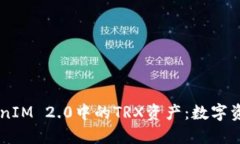 深入了解TokenIM 2.0中的TR
