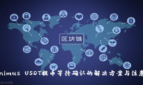 Tokenimus USDT提币等待确认的解决方案与注意事项