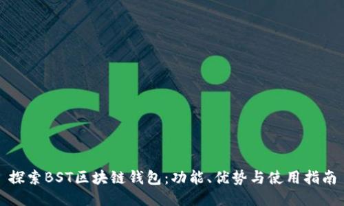探索BST区块链钱包：功能、优势与使用指南