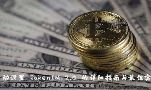 手动设置 TokenIM 2.0 的详细指南与最佳实践