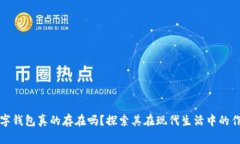 数字钱包真的存在吗？探