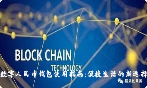 数字人民币钱包使用指南：便捷生活的新选择