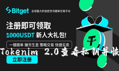 如何通过Tokenim 2.0查看私钥并恢复IP地址