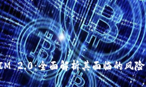 TokenIM 2.0：全面解析其面临的风险与挑战