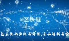 数字钱包系统的降级与升