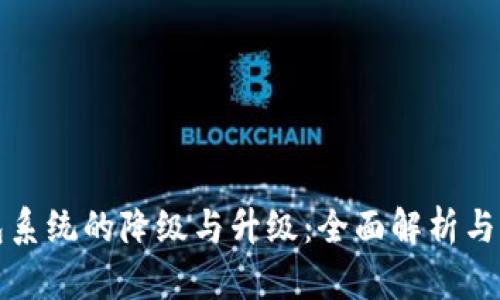 数字钱包系统的降级与升级：全面解析与实用指南