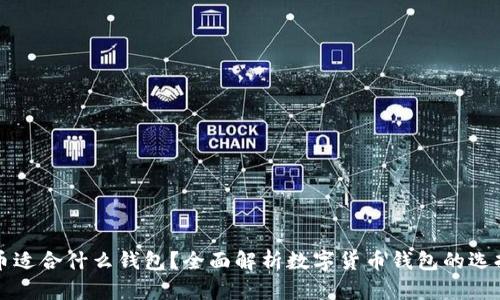 数字货币适合什么钱包？全面解析数字货币钱包的选择与使用