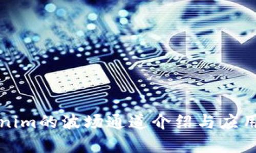 Tokenim的波场通道介绍与应用分析