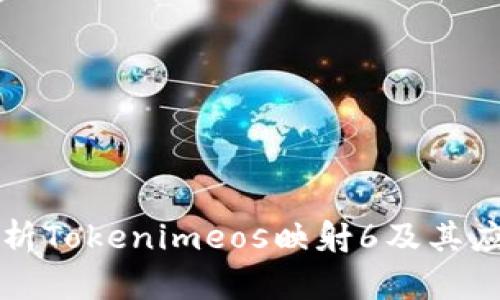 深入解析Tokenimeos映射6及其应用前景