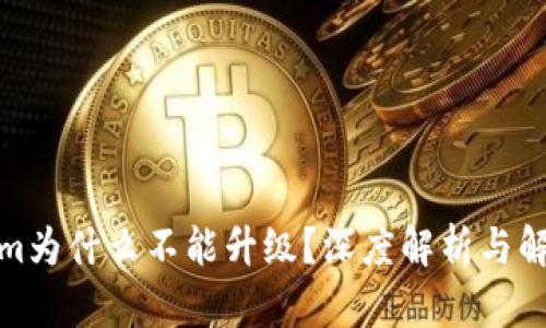Tokenim为什么不能升级？深度解析与解决方案
