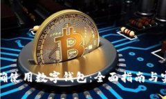 如何正确使用数字钱包：全面指南与实用技巧