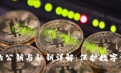 区块链钱包中的公钥与私钥详解：保护数字资产的双重防线
