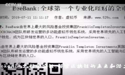 Tokenim支持爱安链：解密区块链的未来和潜力
