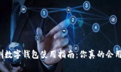 深圳数字钱包使用指南：