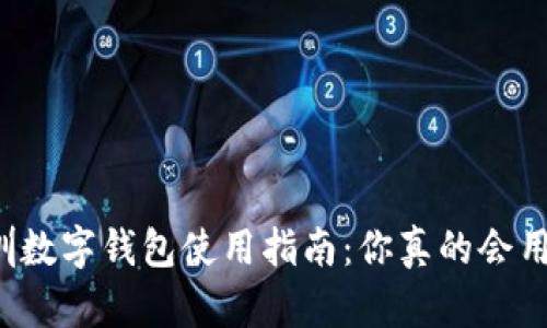 深圳数字钱包使用指南：你真的会用吗？