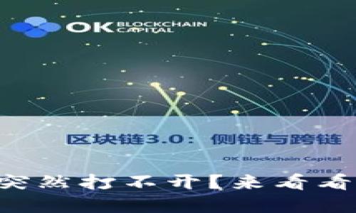为什么你的无网数字钱包突然打不开？来看看可能的原因和解决方法吧！