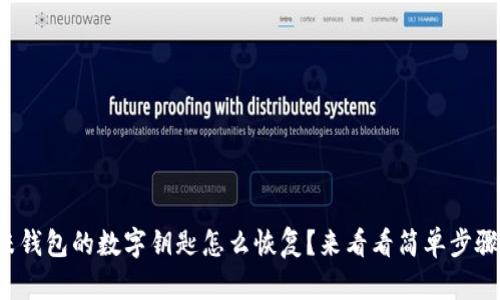 小米钱包的数字钥匙怎么恢复？来看看简单步骤吧！