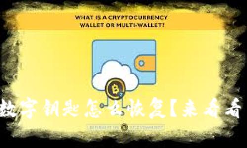 小米钱包的数字钥匙怎么恢复？来看看简单步骤吧！