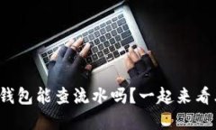 数字钱包能查流水吗？一
