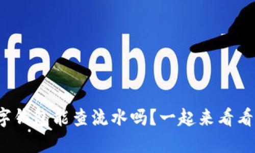 数字钱包能查流水吗？一起来看看吧！