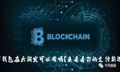 数字钱包在大润发可以用
