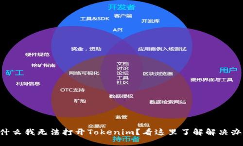 为什么我无法打开Tokenim？看这里了解解决办法！