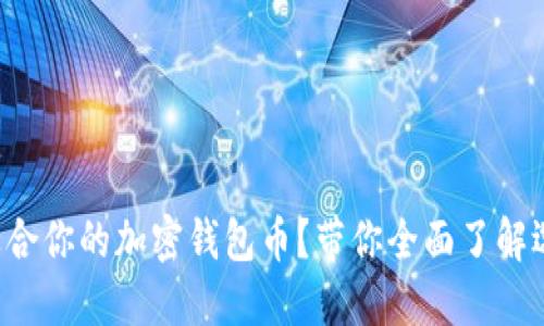 如何选择适合你的加密钱包币？带你全面了解选款小贴士！