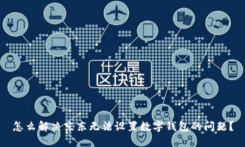 怎么解决京东无法设置数字钱包的问题？