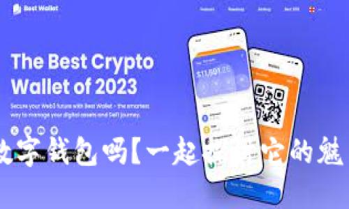 你了解ICO数字钱包吗？一起探讨它的魅力与实用性！
