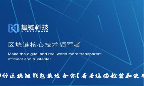 选择哪种区块链钱包最适合你？看看这些推荐和使用体验！