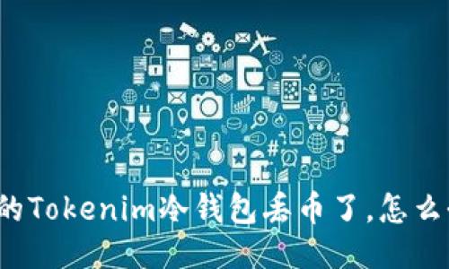 我的Tokenim冷钱包丢币了，怎么办？