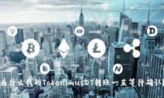 为什么我的TokenimusDT转账一