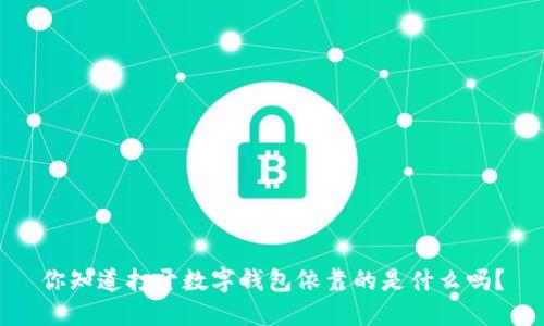 你知道打开数字钱包依靠的是什么吗？