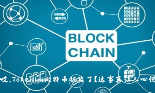 “哎，Tokenim比特币被盗了？这事真让人心慌”